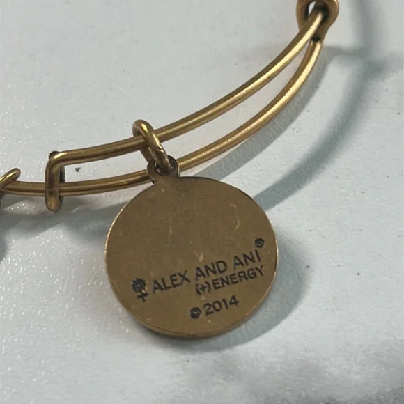 Pre owned Alex and Ani 2014 Charm Bangle Bracelet - Picture 6 of 13